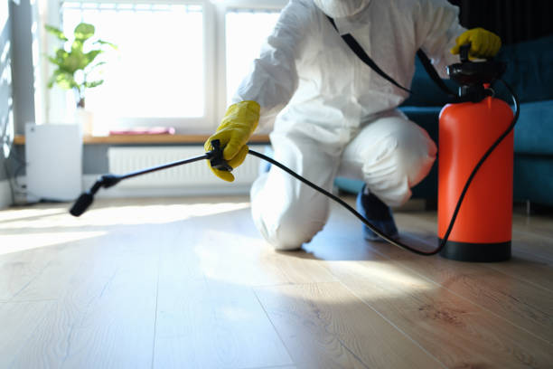 Reliable Odor Removal contractor in Lebanon, IL by Trauma Clean Pros
